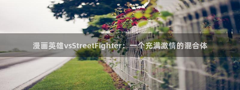歪歪漫画52漫画网：漫画英雄vsStreetFighter：一个充满激情的混合体